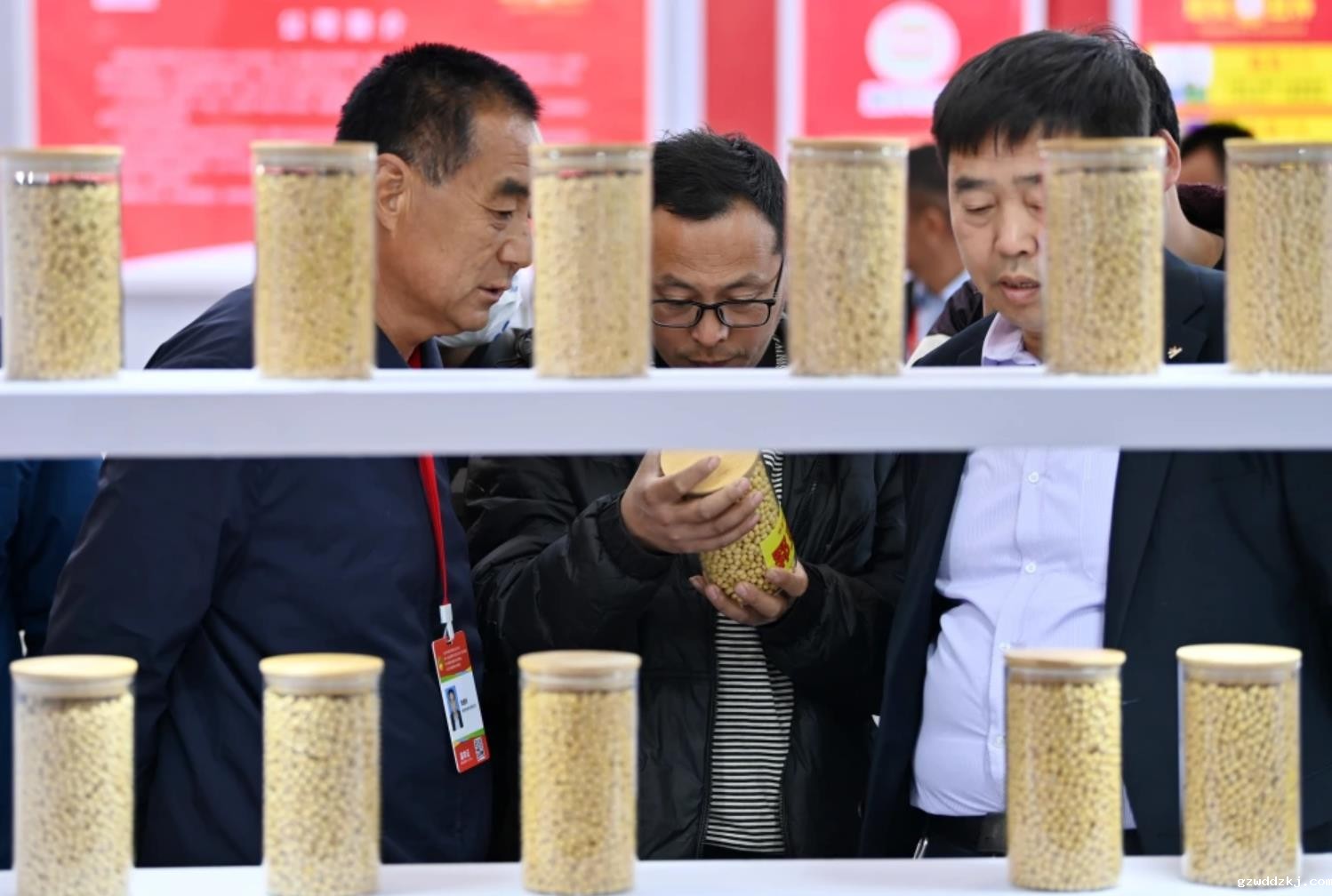 产学研用融合 种业提质增效——我国农作物种业市场规模去年首次突破1500亿元