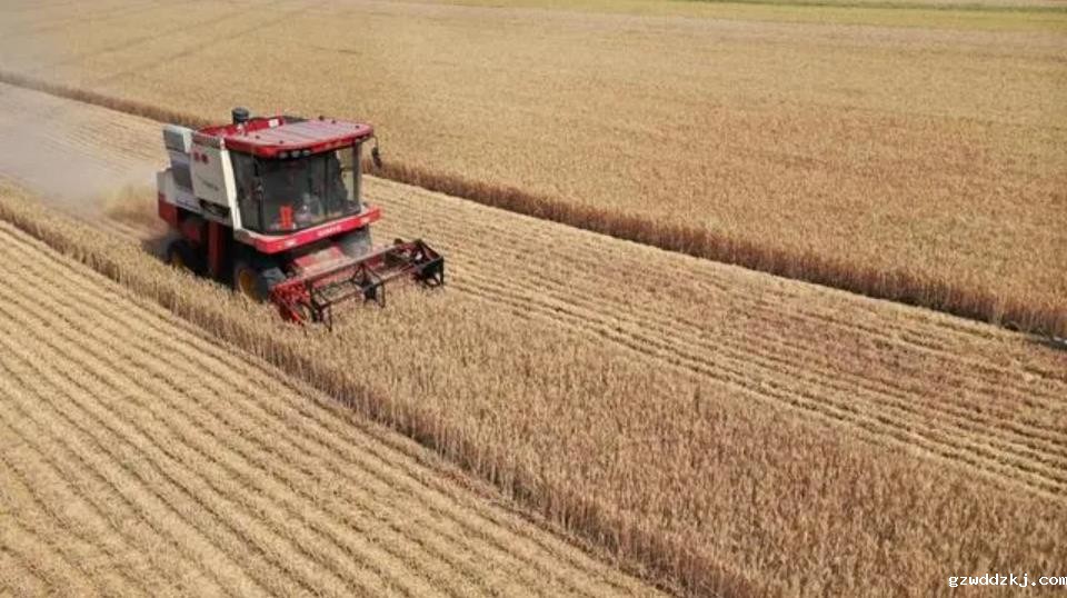 我国将大力推动粮食大面积单产提升