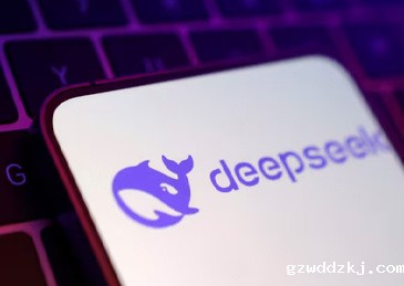 DeepSeek热潮下 上海加大力度“开源”